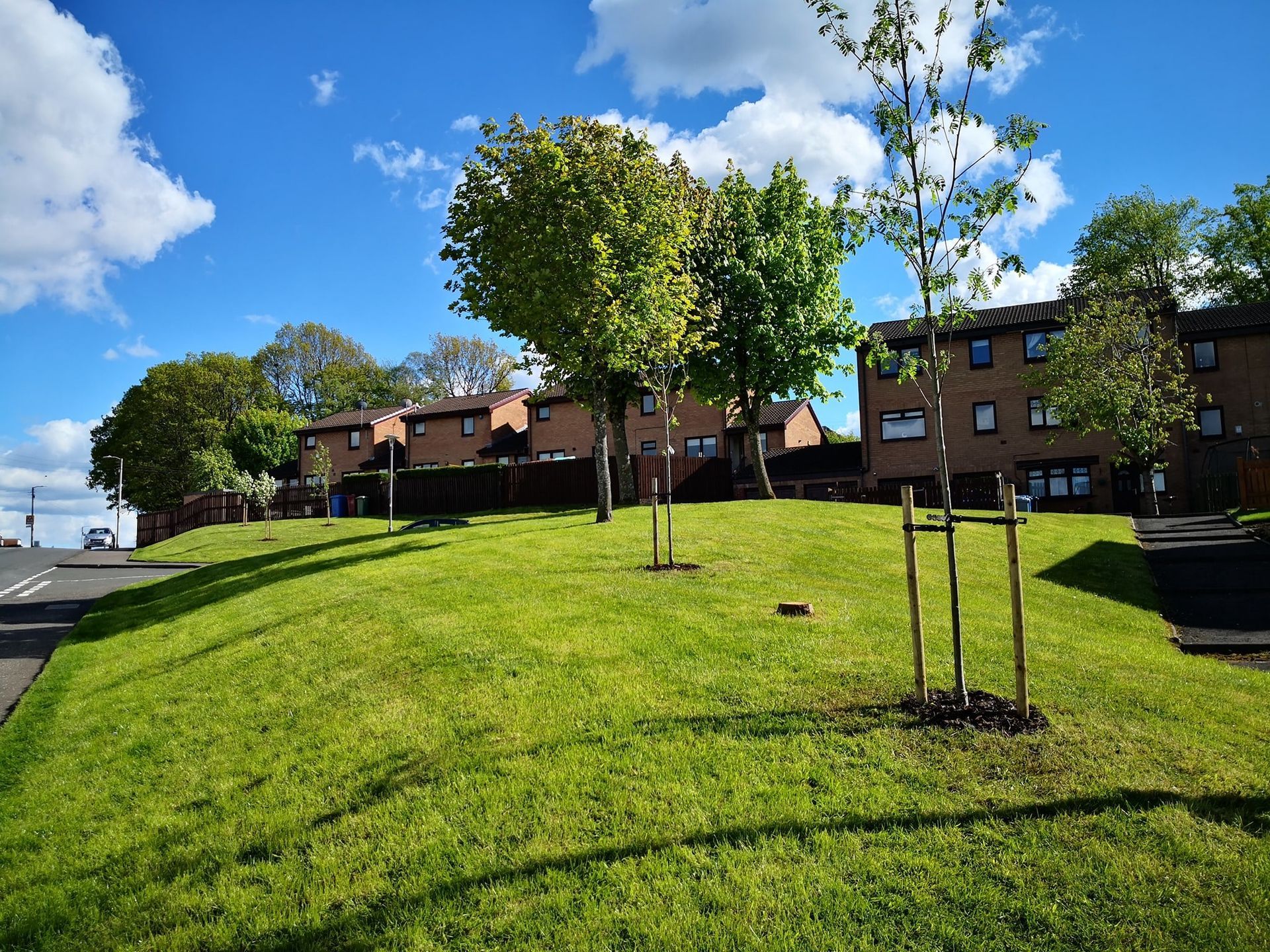 tree-planting-services What Tree Planting Costs in Nottingham